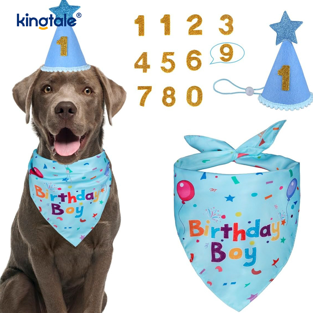 পোষা জন্মদিন Bandana সেট
