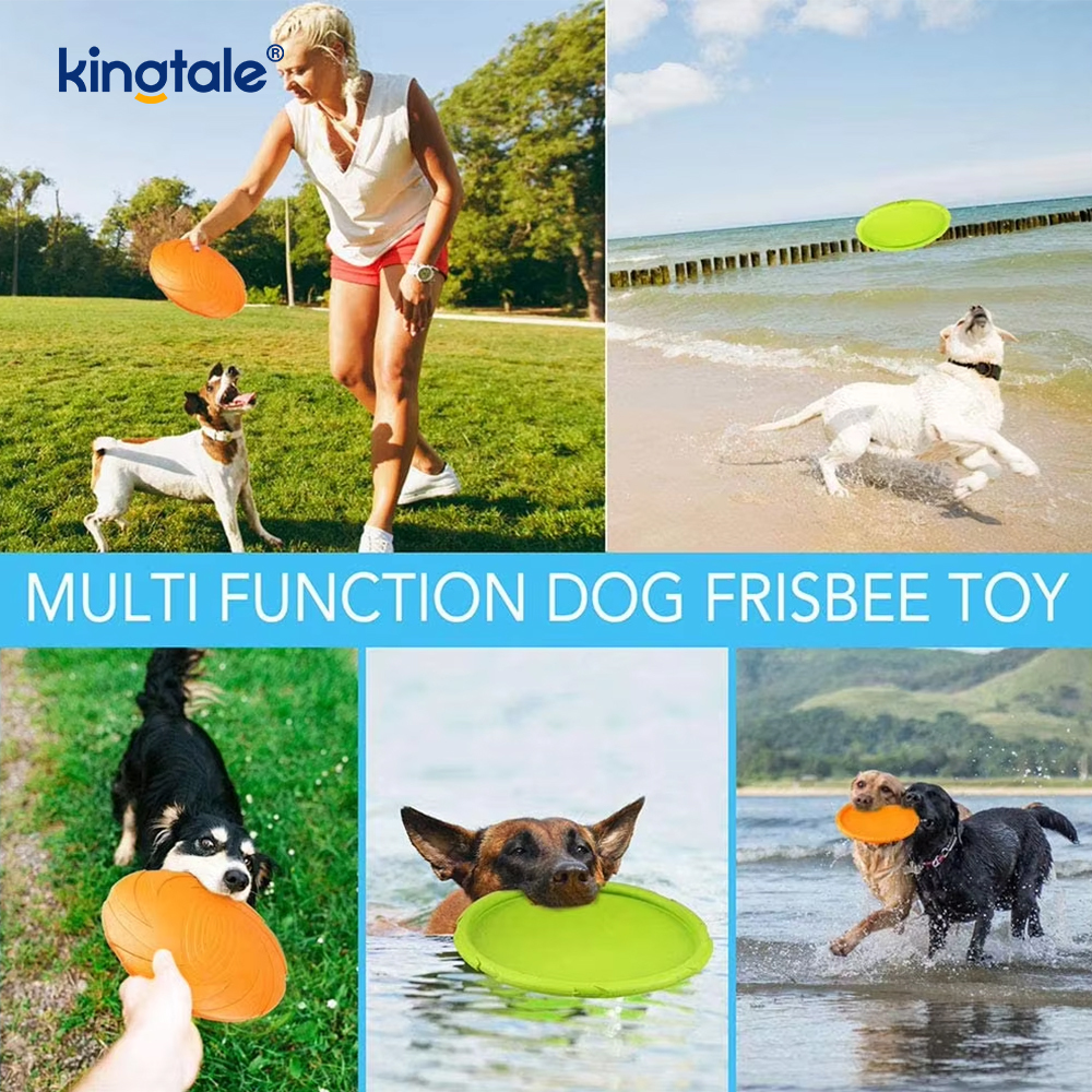 পোষা Frisbee